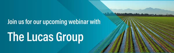 The Lucas Group Webinar